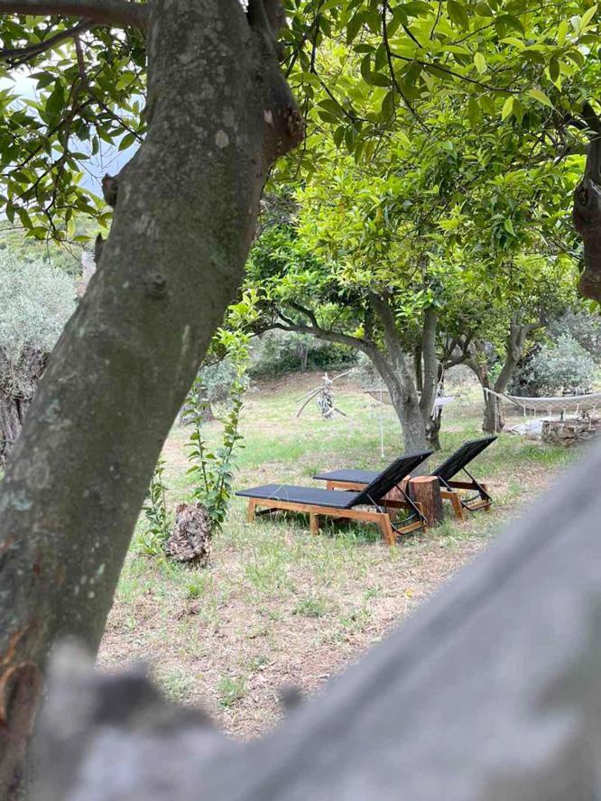 Lithea Villas And Studios By The Sea Agios Petros  Luaran gambar