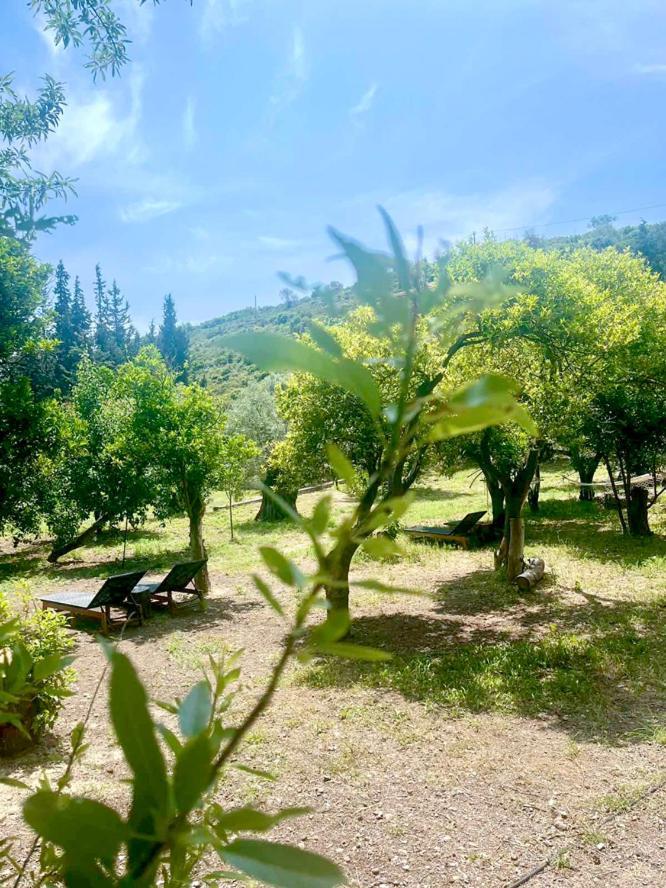 Lithea Villas And Studios By The Sea Agios Petros  Luaran gambar