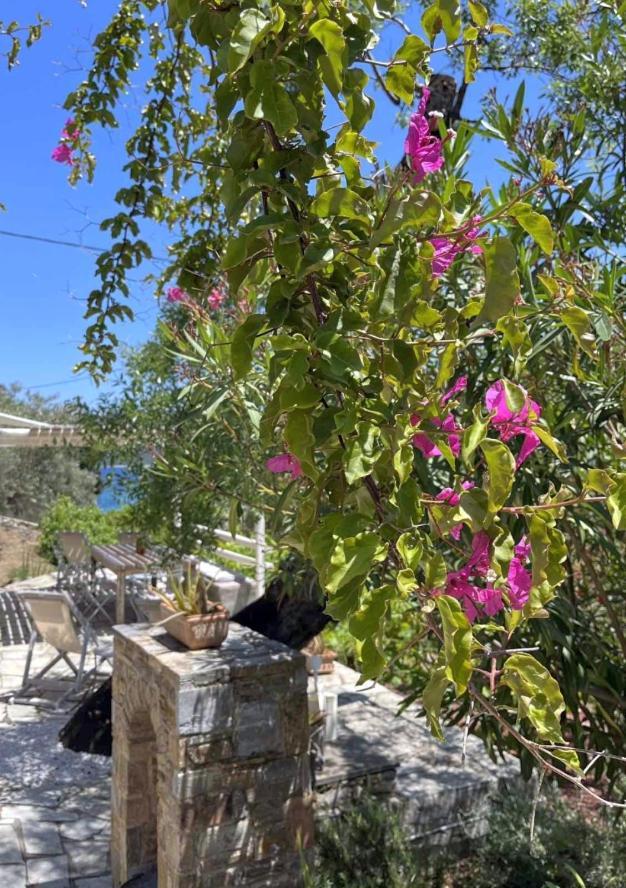 Lithea Villas And Studios By The Sea Agios Petros  Luaran gambar