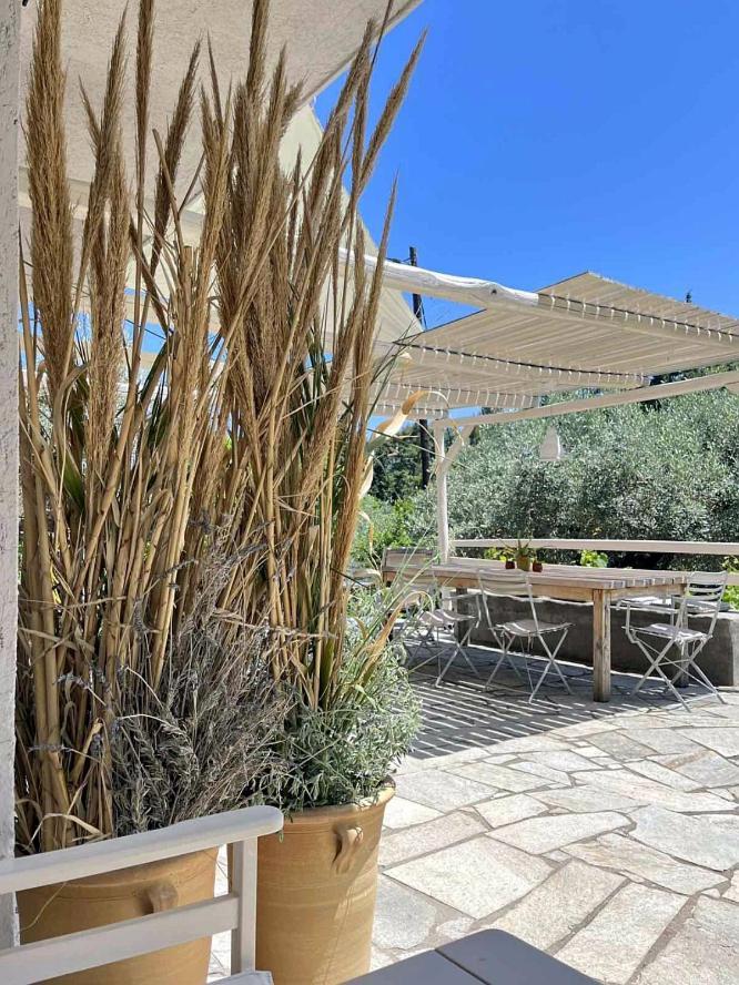 Lithea Villas And Studios By The Sea Agios Petros  Luaran gambar