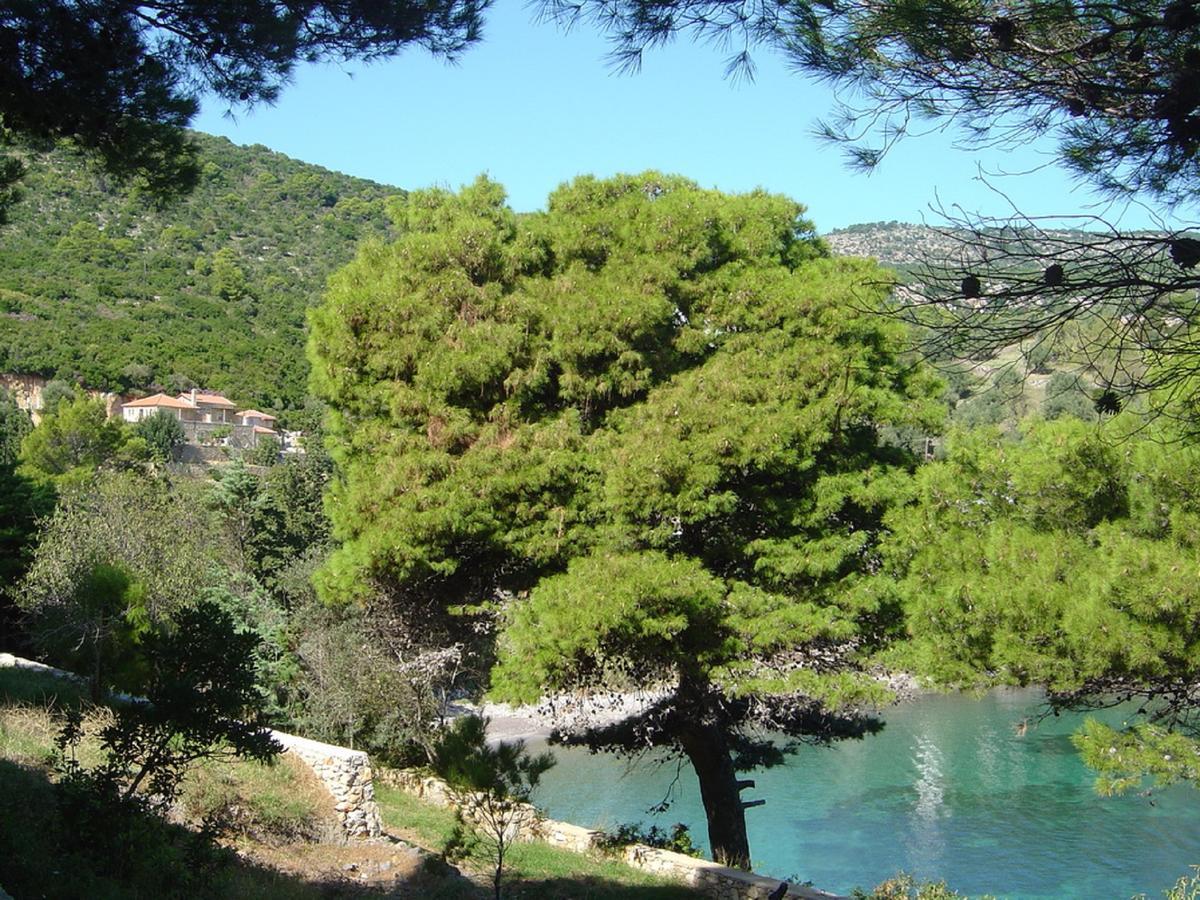 Lithea Villas And Studios By The Sea Agios Petros  Luaran gambar